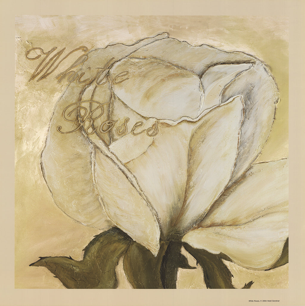 Gerstner, Heidi - White Roses - Farboffset Clever Art