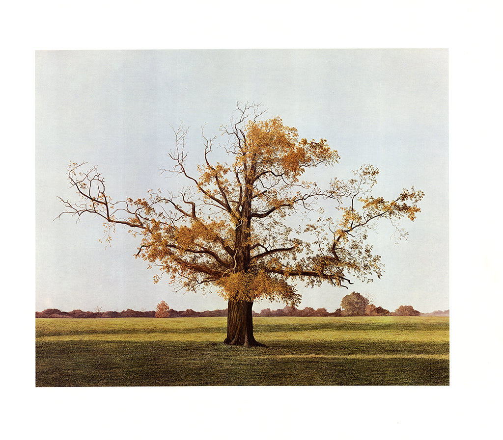 Caston, Richard - Landschaft mit herbstlichem Baum - Farboffsetlithografie Clever Art