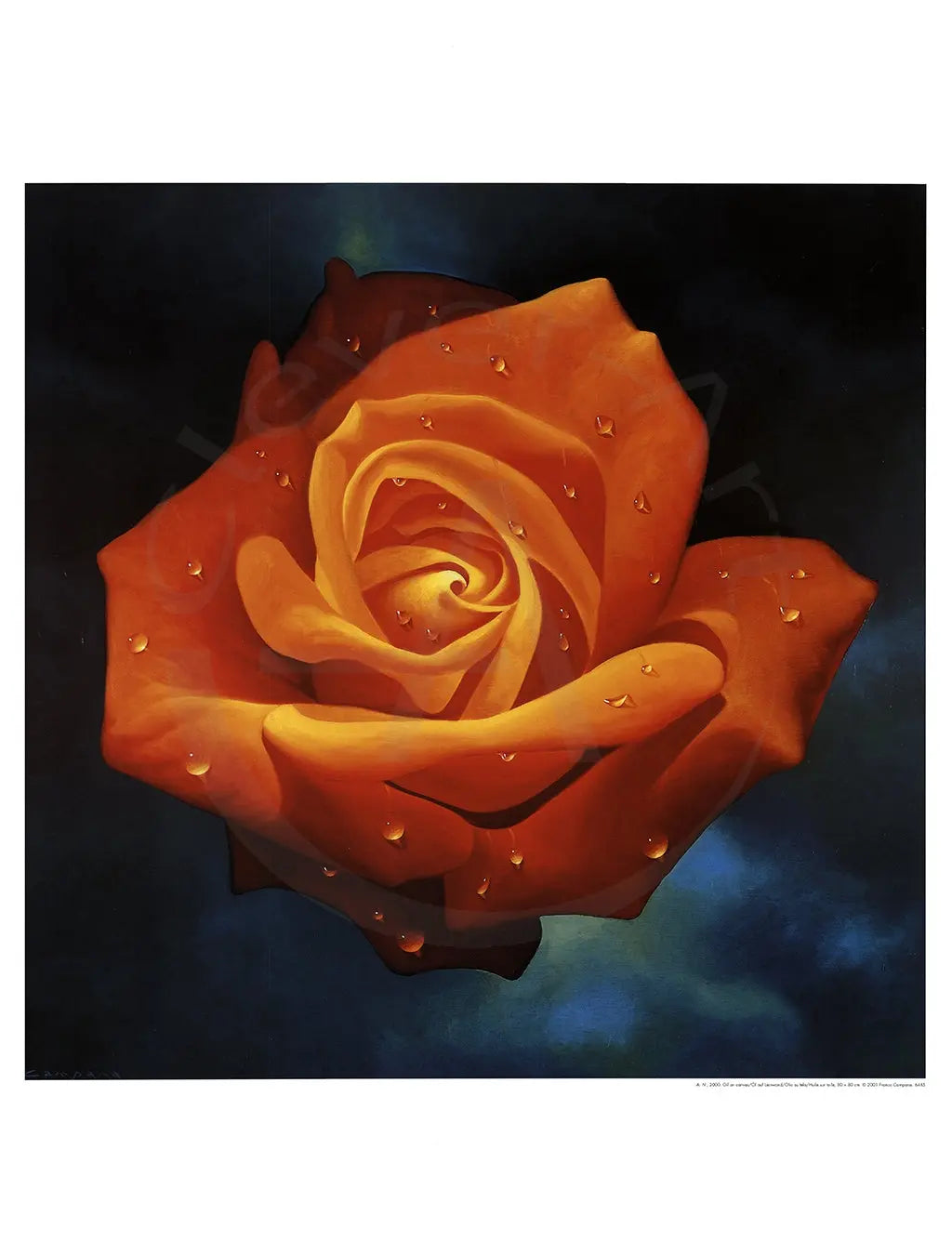 Campana, Franco - Orange Rose - Kunstdruck Clever Art